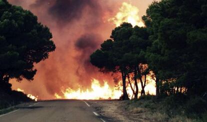 Las llamas consumen arbolado y monte bajo en el municipio aragon&eacute;s de Luna. 