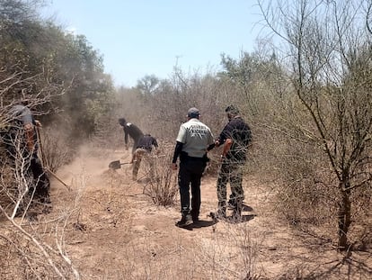 Peritos de la Fiscalía de Justicia de Sonora localizan el cuerpo semienterrado del líder yaqui Tomás Rojo, el pasado 17 de junio.