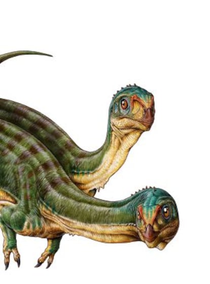 Reconstrucción de dos 'Chilesaurus diegosuarezi'