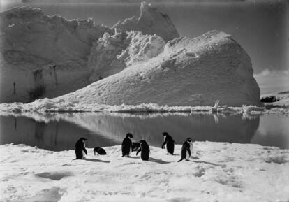 Uno de los paisajes con los que se encontró la expedición de Robert Falcon Scott, en una imagen cedida por Instituto Scott de Investigación Polar de la Universidad de Cambridge.