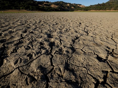 Fotografía del lecho seco del Lago Mendocino, el 22 de junio de 2021, en Ukiah (EE UU), durante la ola de calor.