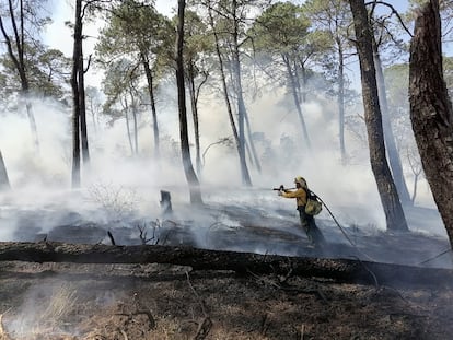 Un bombero combate un incendio en la sierra de Chihuahua.