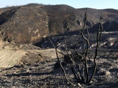 Parte de la Sierra de Gador en Almer&iacute;a afectada por el fuego.