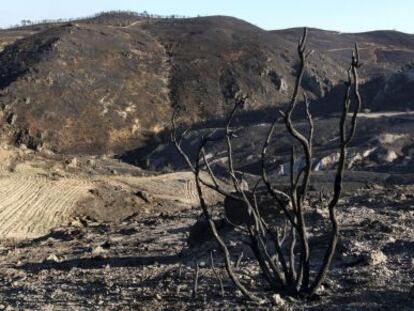 Parte de la Sierra de Gador en Almería afectada por el fuego.