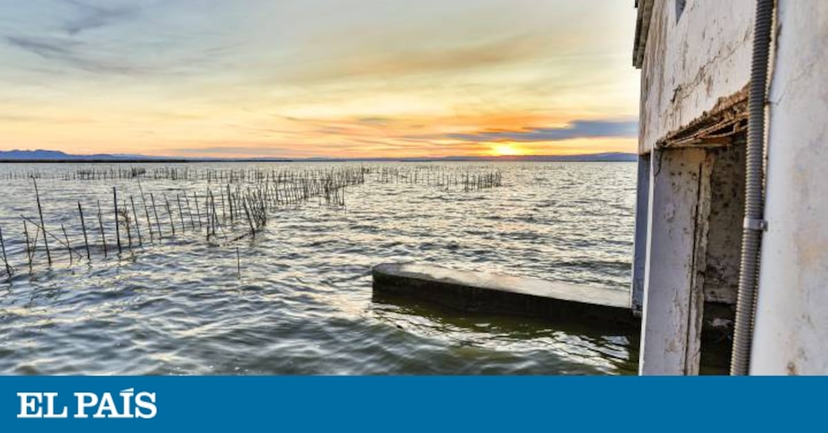 Heaven or hell? The declining state of Valencia’s La Albufera natural park