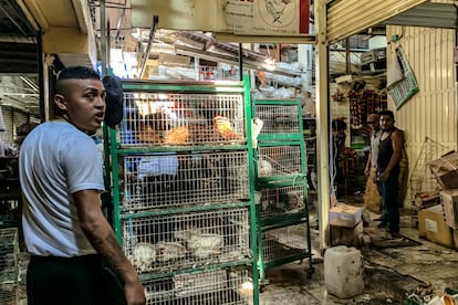 Mercado de Sonora incendio