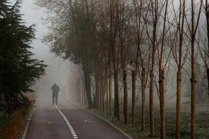 Un caminante en el carril bici en la localidad madrileña de Boadilla del Monte (Madrid), el 29 de diciembre de 2015.