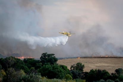 Un hidroavión trata de apagar el incendio, a 17 de julio de 2025, en Navalcarnero, Madrid.