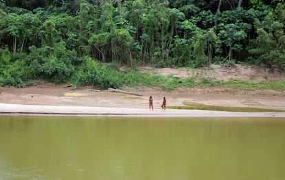 Las fotografías son de un sitio peligrosamente cerca de concesiones madereras.