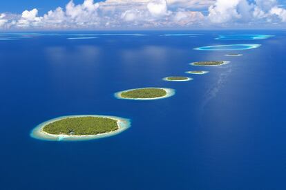 Noviembre es el mes idóneo para bucear entre mantas raya en el atolón de Baa, en el océano Índico, uno de los 26 que integran la República de Maldivas, al suroeste de Sri Lanka, también conocida como el país de las mil ('mal') islas ('divas') aunque en realidad sean unas 1.200. Los 75 islotes (la mayoría deshabitados) y los 1.200 kilómetros cuadrados que abarca esta 'provincia' maldiva fueron declarados reserva de la biosfera por la Unesco en 2011 (la primera del Índico) debido a la riqueza y diversidad de sus fondos coralinos. La temperatura media de estas prístinas aguas coincide con los grados óptimos para el crecimiento del coral, entre los 26ºC y 27ºC, lo que permite disfrutar, solo con un tubo y unas gafas, de una de las barreras más valiosas del mundo, con hasta 250 especies diferentes de coral. La fauna submarina del atolón incluye unos 1.200 peces de arrecife diferentes, grandes tortugas, tiburones ballena y la población de mantas raya más grande del mundo.