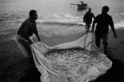 Un trabajo duro, difícil: pescadores de altura y de bajura faenan en varias zonas del Mediterráneo.