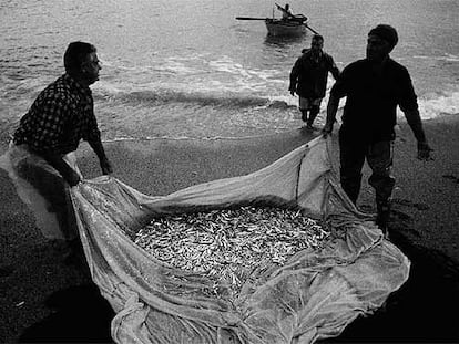 Un trabajo duro, difícil: pescadores de altura y de bajura faenan en varias zonas del Mediterráneo.