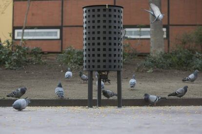 Dispensador de pienso con contraceptivos para controlar las palomas en Barcelona.