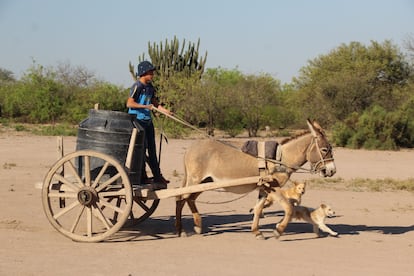 En Santiago del Estero, 176.000 personas deben trasladarse para obtener agua.