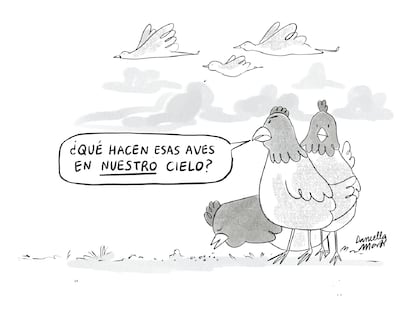 Fronteras invisibles, por Daniella Martí