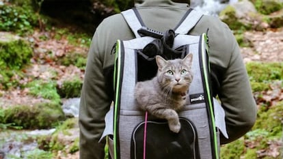 mochila transportin para perros y gatos