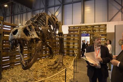 La colección Dinopetrea (dinopetrea.com), que reúne fósiles de unas 500 especies diferentes y réplicas, muestra este esqueleto completo de dinosaurio en el pabellón 7 de Ifema, recinto ferial que desde hoy y hasta el próximo domingo 21 de enero acoge en ocho de sus pabellones la 38 edición de Fitur, la Feria Internacional del Turismo de Madrid.