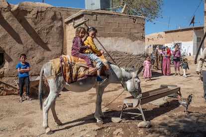 Un burro bebe agua en una aldea de la provincia de Hasake. El pueblo acogió a docenas de personas desplazadas de Ras al Ayn durante la ofensiva turca de octubre de 2019.