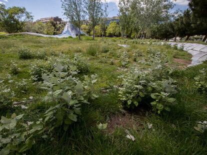 El parc de l'Estació del Nord, a l'Eixample de Barcelona.