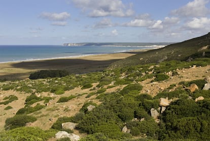 Vista de los terrenos del campo de entrenamiento de la sierra del Retín, en Barbate.