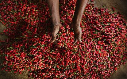 Puesto de guindillas rojas en un mercado de Goa, en India.