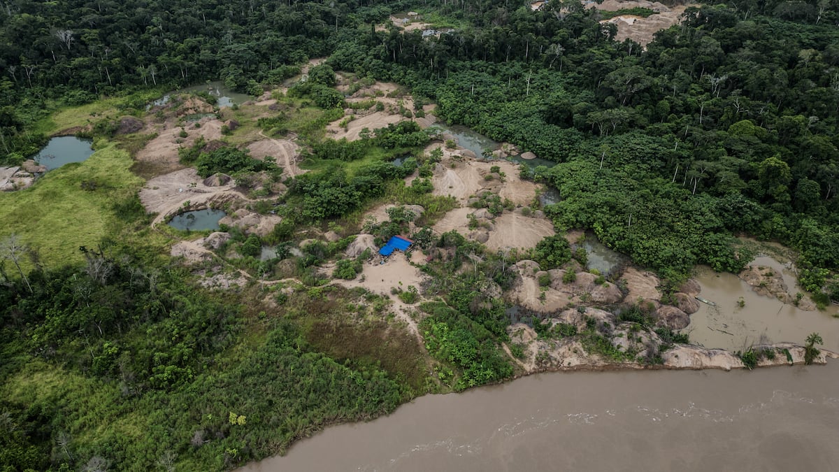La Amazonia bajo asedio: sequías, lluvias ausentes y la mano de la  deforestación | EL PAÍS América