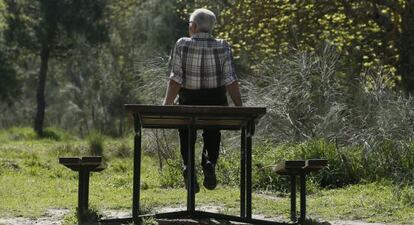 Un jubilado en la Casa de Campo de Madrid.