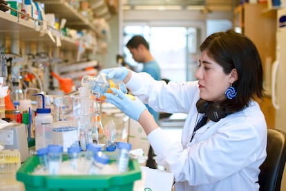 Susana Vázquez en el laboratoria del Instituto de Diseño de Proteinas de la Universidad de Washington