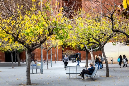 Estudiantes universitarios en el Campus dels Tarongers de Valencia, el miércoles.