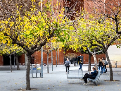 Estudiantes universitarios en el Campus dels Tarongers de Valencia.