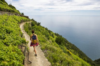 Una mujer camina por un sendero flanqueado por viñedos en Cinque Terre (Italia).