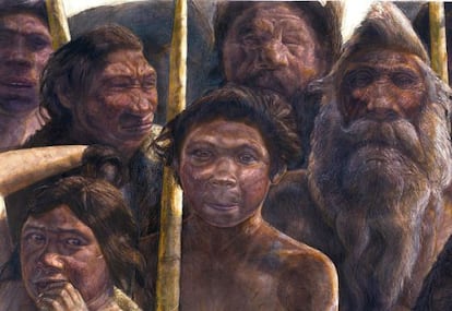 A image supplied by the Museo de la Evoluci&oacute;n Humana of a drawing of Homo heidelbergensis, like those found at Atapuerca.