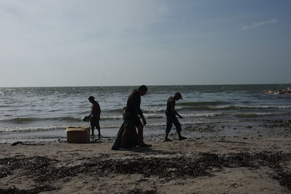 El derrame ha alcanzado las playas de los Estados de Campeche, Tabasco, Tamaulipas y Veracruz. Diferentes organizaciones civiles han denunciado el daño medioambiental que ha ocasionado en las costas. En la imagen, un grupo de voluntarios limpia Playa Bonita.