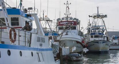 Barcos de pesca amarrado en el puerto de Barbate (Cádiz).