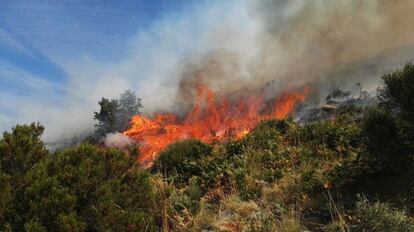 Uno de los focos en el incendio del Valle del Jerte.