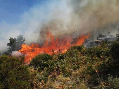 Uno de los focos en el incendio del Valle del Jerte.