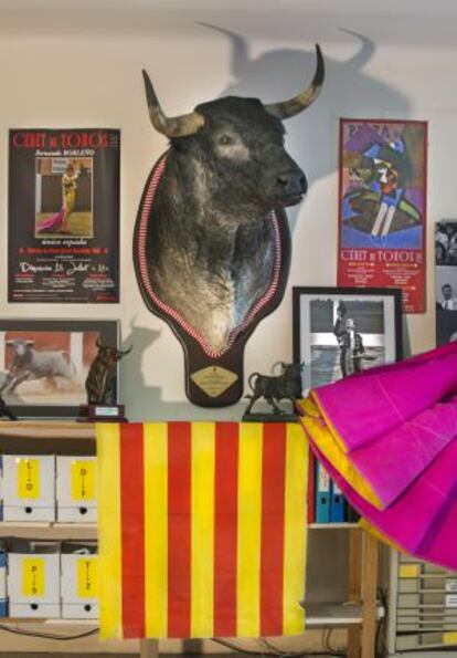 Un toro amb capot i la senyera presideix una sala de l'Associacion des Aficionados Céretans (ADAC) en Ceret