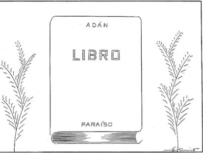 MÁXIMO