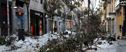 Árboles dañados en la calle Fuencarral de Madrid por culpa del temporal de nieve Filomena.