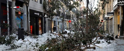 Árboles dañados en la calle Fuencarral de Madrid por culpa del temporal de nieve Filomena.