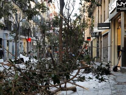 Árboles dañados en la calle Fuencarral de Madrid por culpa del temporal de nieve Filomena.