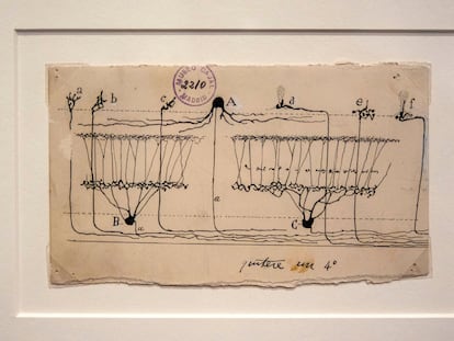 Dibujo procedente de una exposición sobre le cerebro en el MIT.