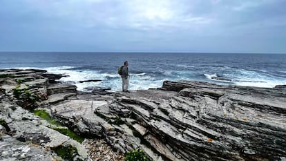 Camino Natural de la Ruta del Cantábrico en las cercanías de Rinlo.