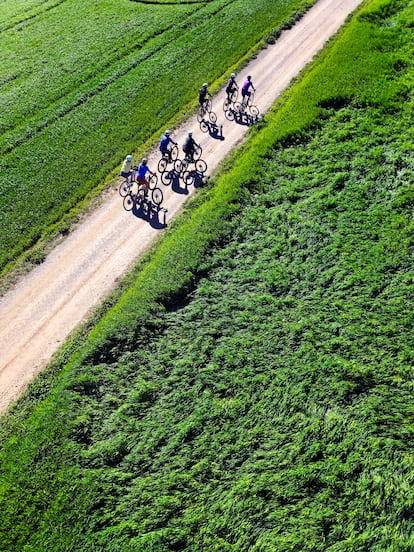 La comarca de Girona, conocida por tener puertos de montaña, llanuras y distintos desniveles, es el lugar ideal para la práctica y entrenamiento del ciclismo tanto profesional como amateur.