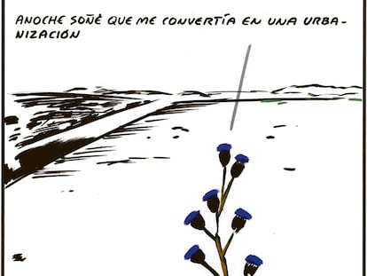 El Roto