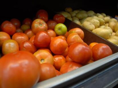 Tomate é um dos alimentos avaliados pelo Dieese.