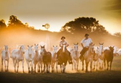 Gauchos en la pampa argentina.