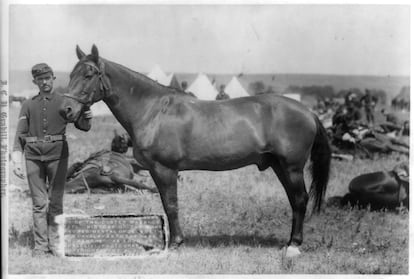 'Comanche' en una foto de su época como celebridad tras sobrevivir a la batalla de Little Bighorn.