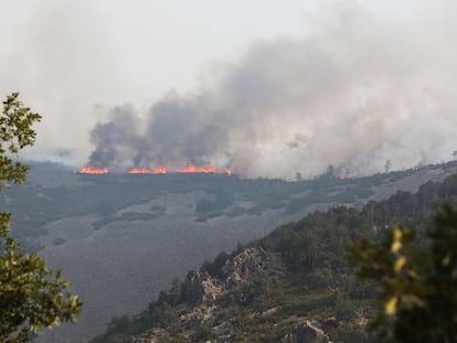 El incendio forestal declarado el lunes en la comarca de Las Hurdes se reactivó el jueves en Las Mestas (Cáceres).