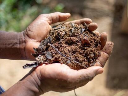 Fertilizante ecológico compuesto de microorganismos efectivos (EM) realizado con productos procedentes de una granja, en Burkina Faso. 